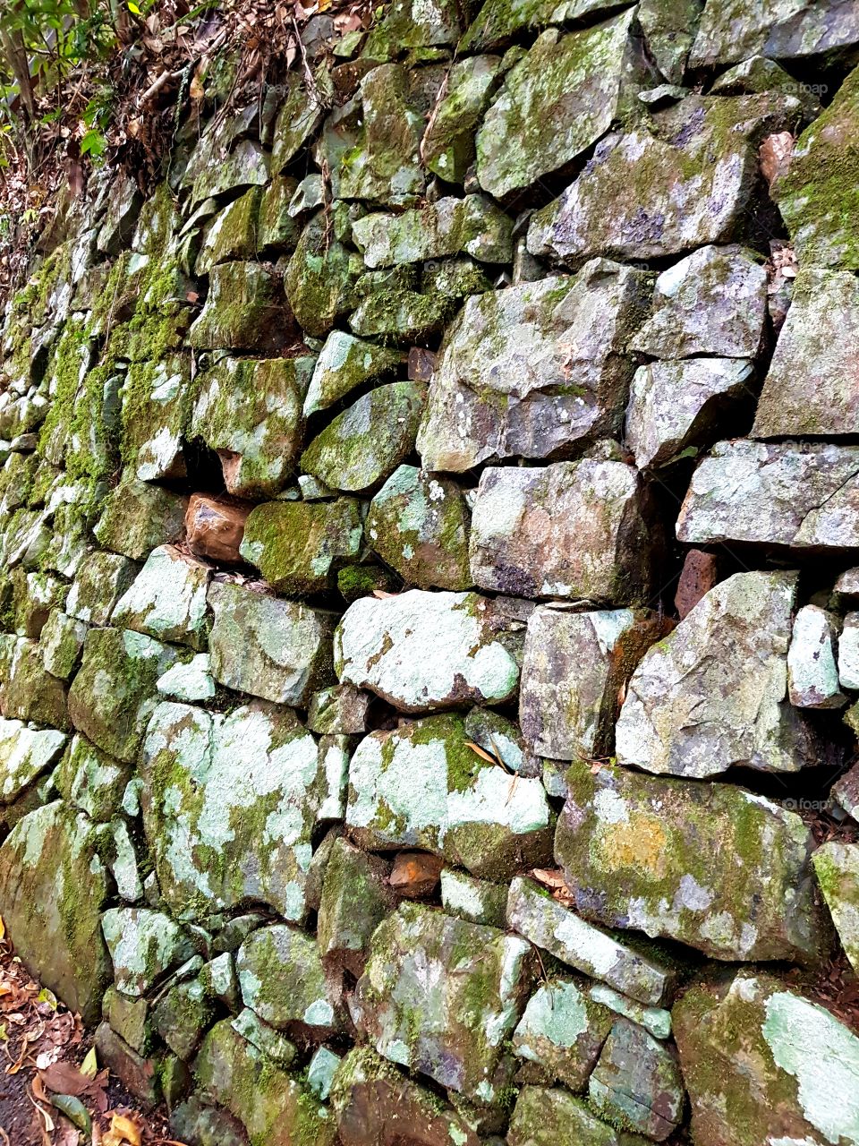 Mossy rock wall