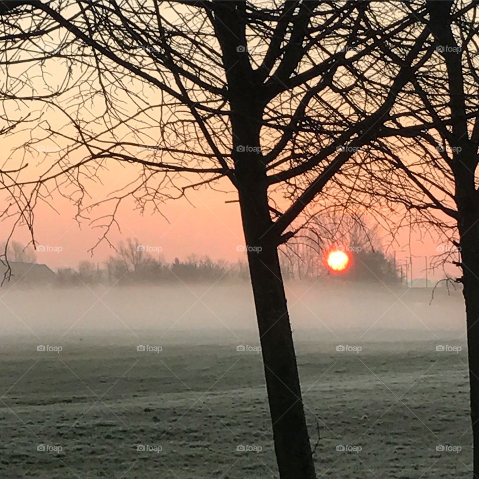 Sunrise, through the mist in Glasgow!! 