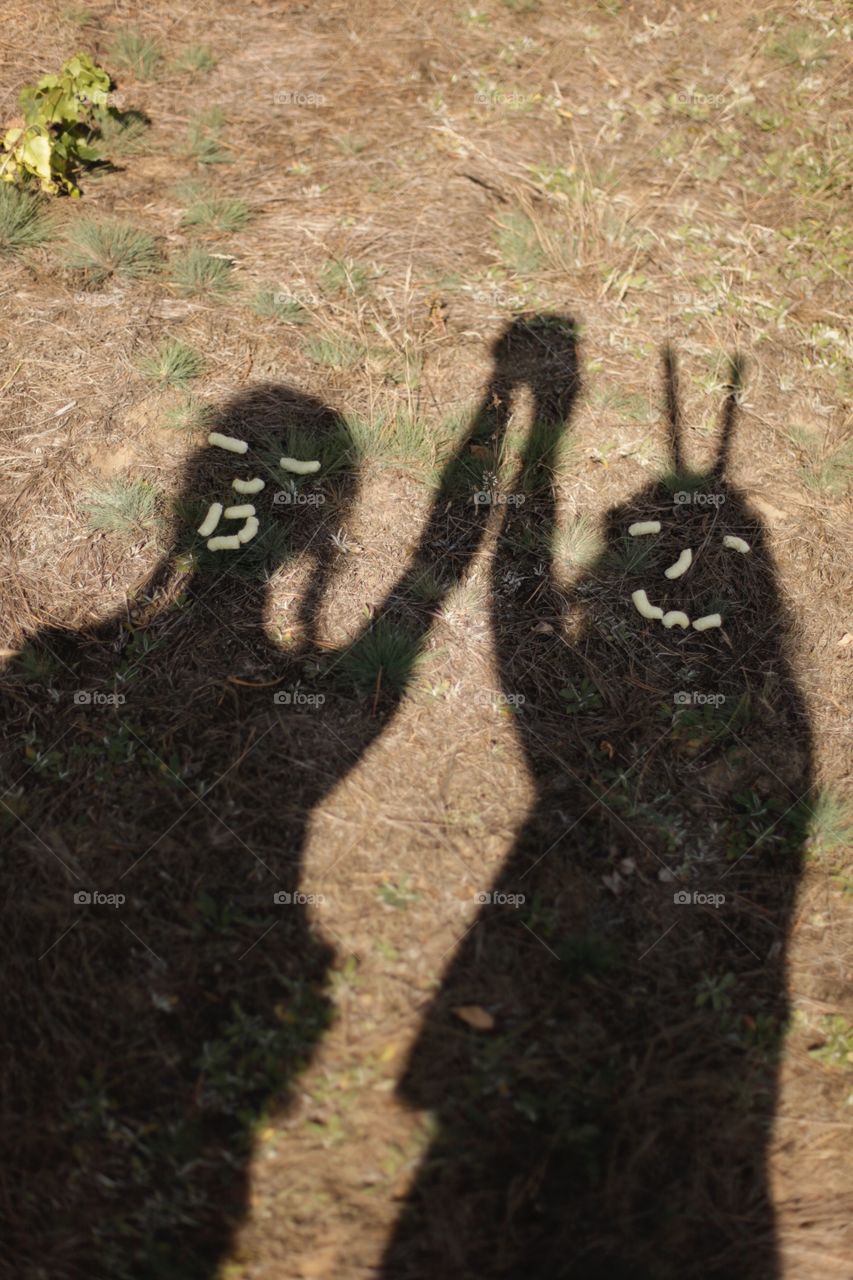Artistic shadow friends