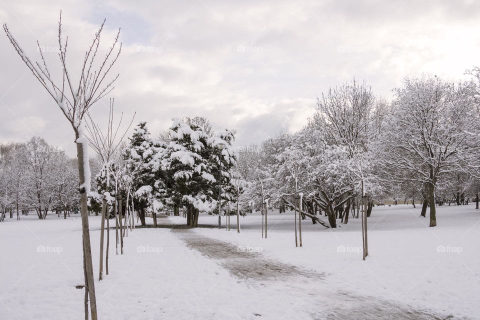 Park in Sofia, Bulgaria