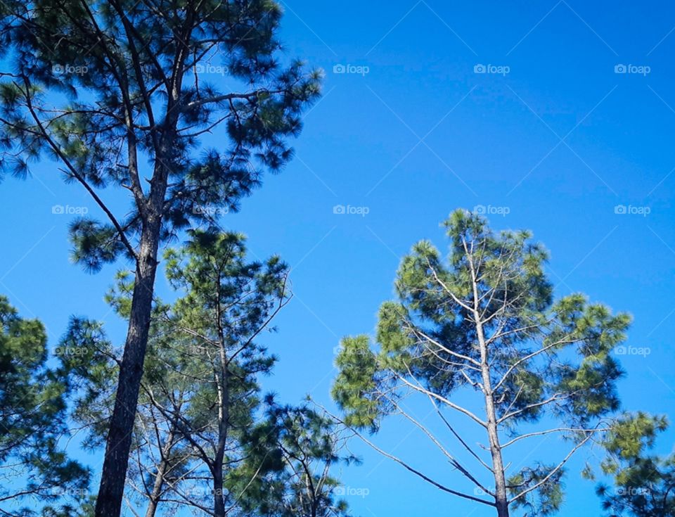 A strange peace is found in nature, away from the noise of the world.