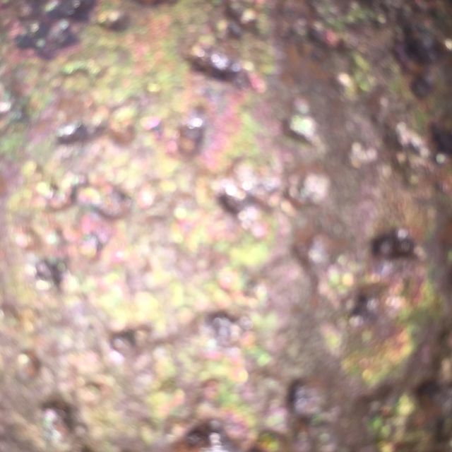 Mottled Skin