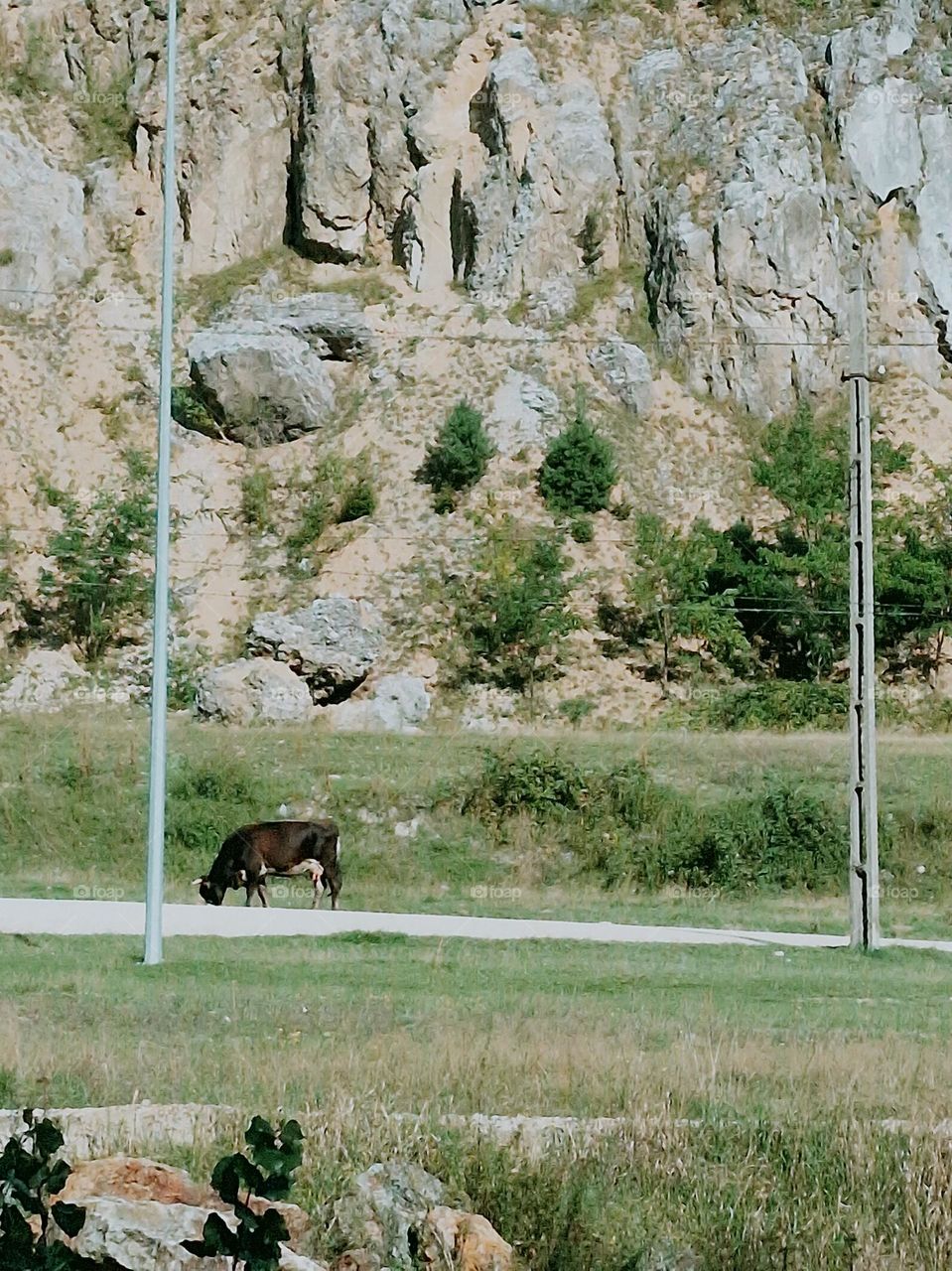 mountain landscape