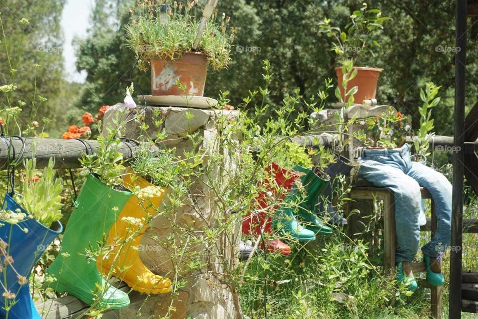 Forest#nature#vegetation#flowerpots#trees#garden#decoration