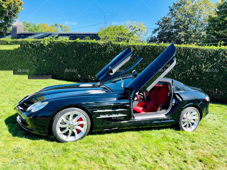 Exotic Carrera GT on display. With winged doors , provide pure joy for the car enthusiast. 