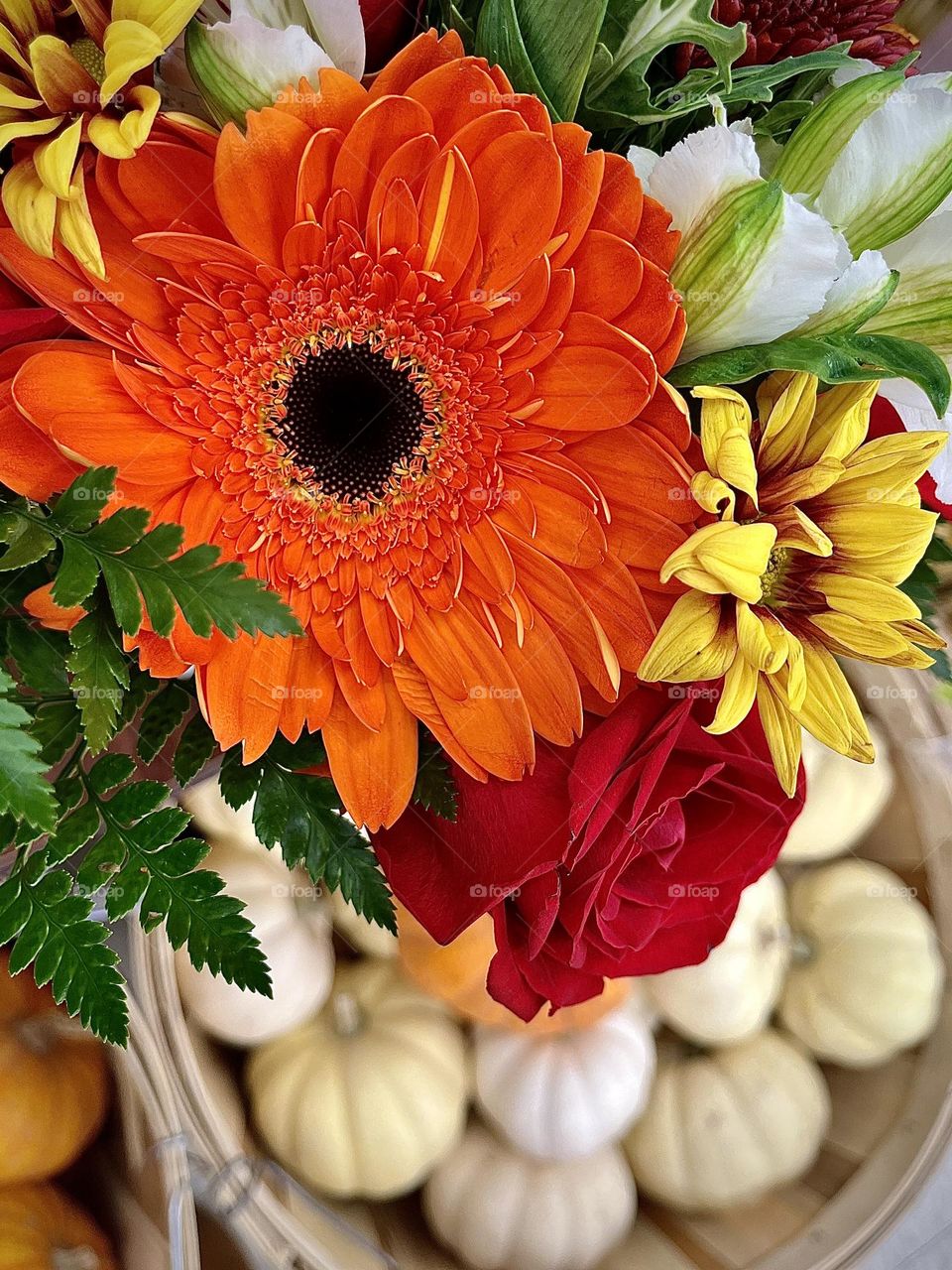 Fall Flowers and Mini Pumpkins