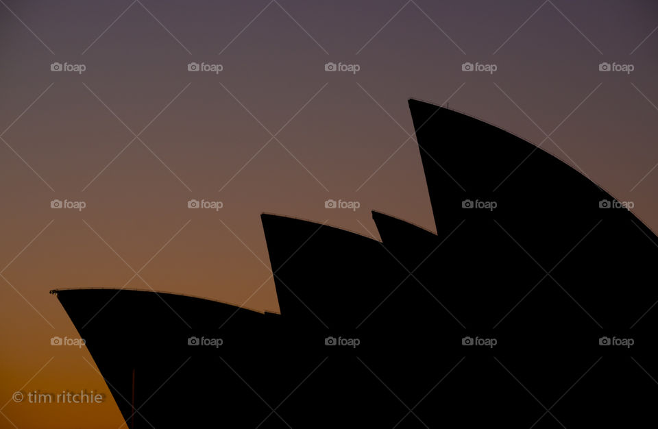 Cycling along the Sydney Harbour foreshore, I gaze across to the something emerging from the early dawn light... I think it might be something prehistoric, or is it something more like a place for the arts?