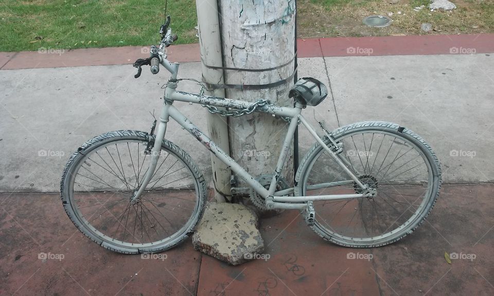Bicicleta / Bike