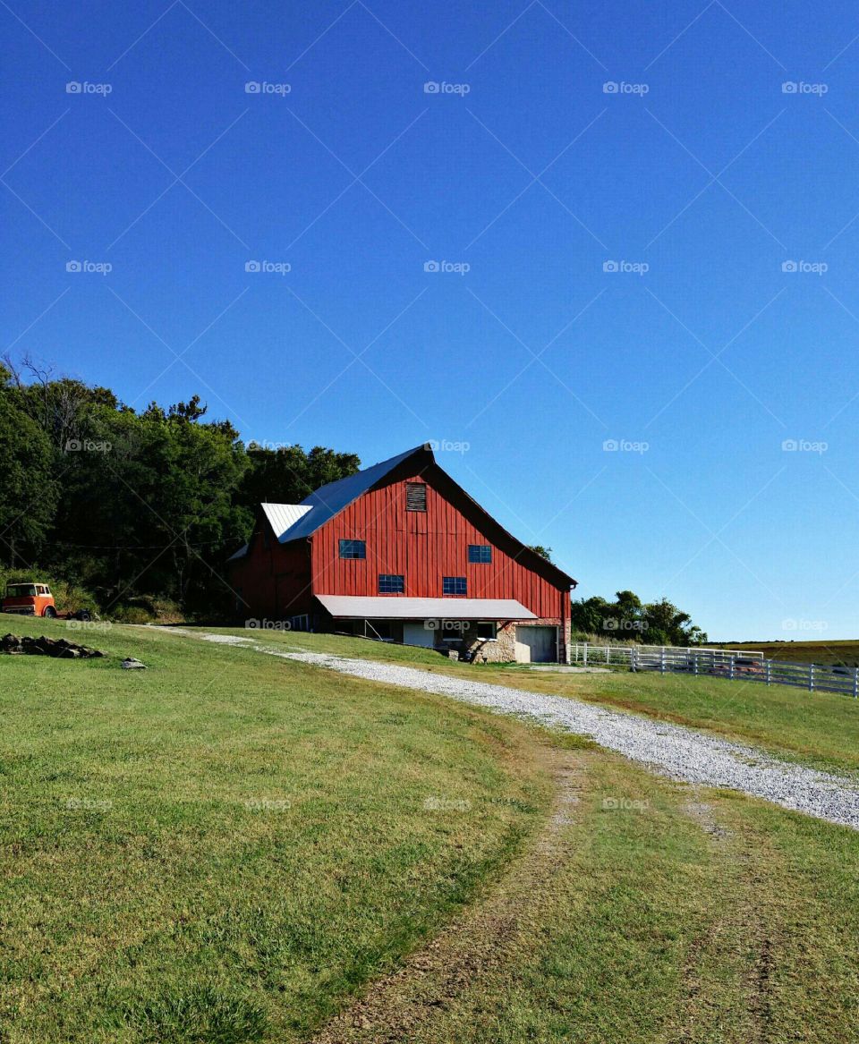 Nice Day in the Barnyard