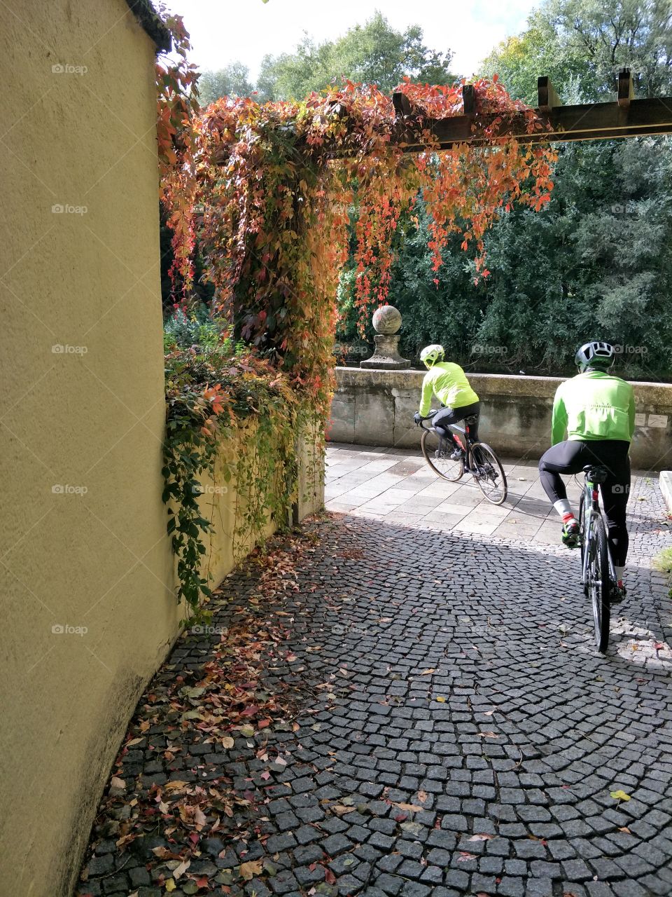 drive bicycle in autumn season