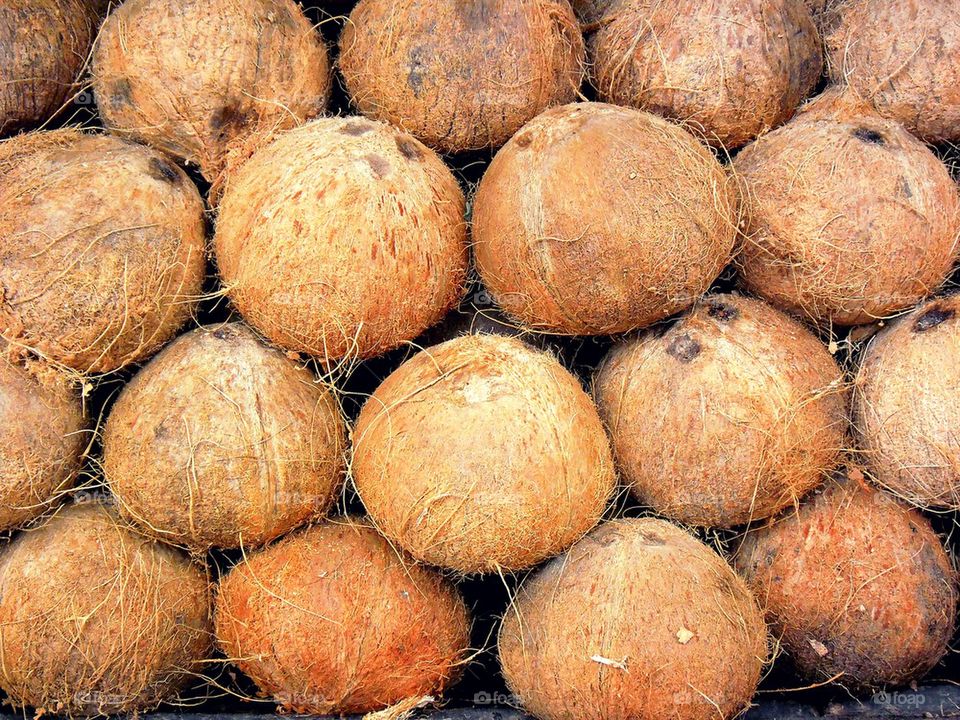 coconuts