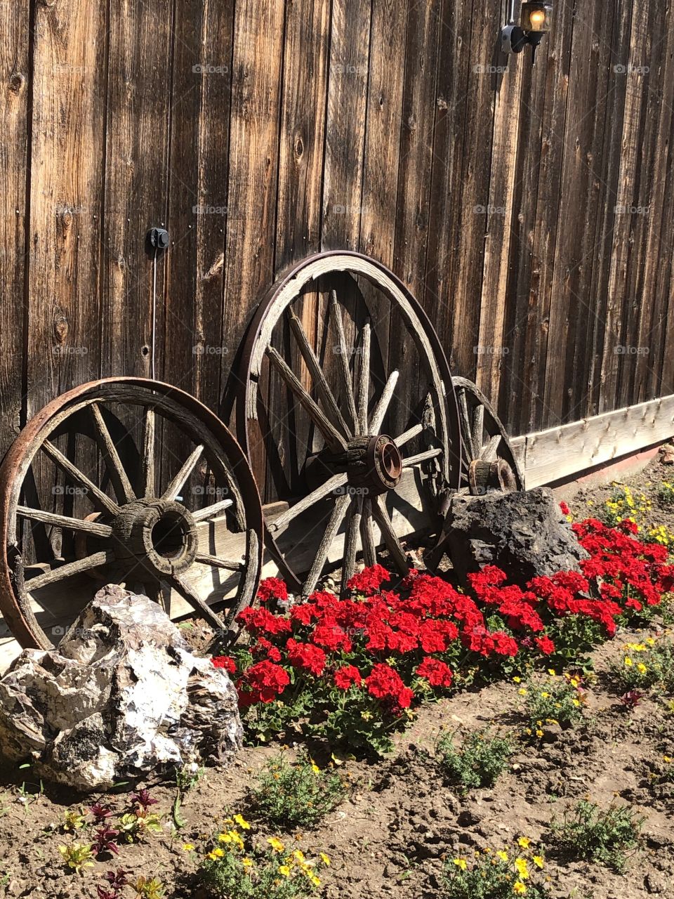 Wagon Wheels and Flowers