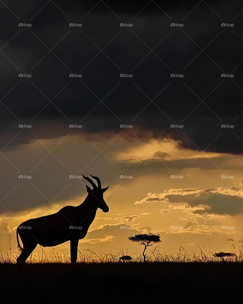 Sunset point is awesome.