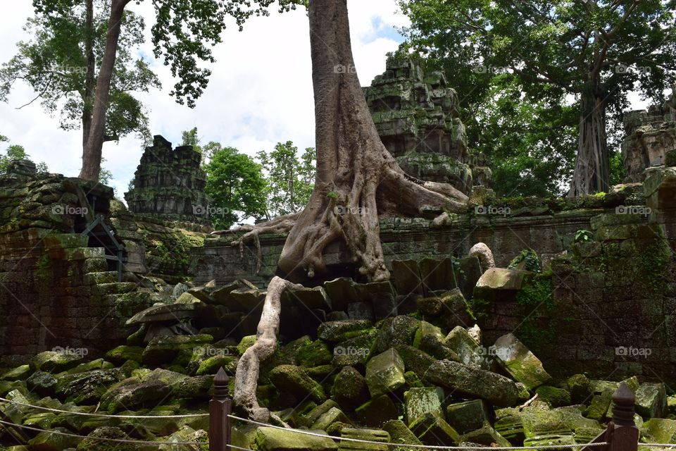Overgrown temple city. Overgrown temple city in Angkor wat Cambodia 