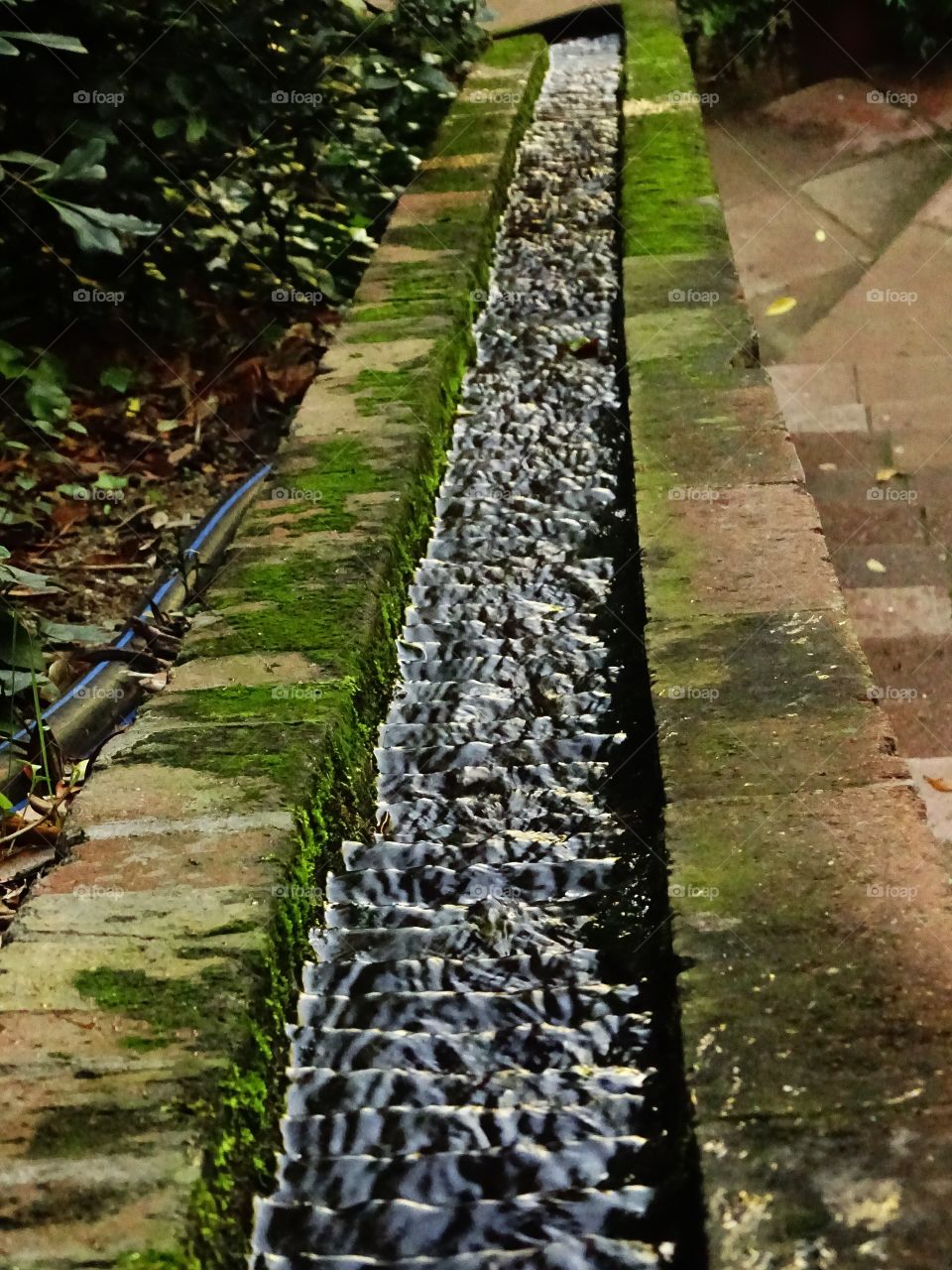 The stairs lead the water