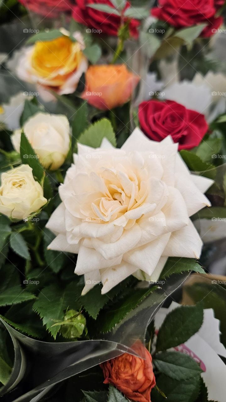 A really beautiful bouquet of roses for sale in the shop