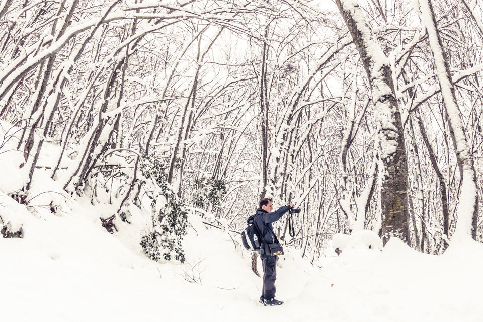 Man With A DSLR Camera In A Snowy Forest Landscape With Trees
