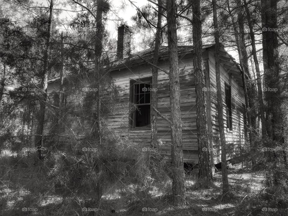 Wooden House In The Woods