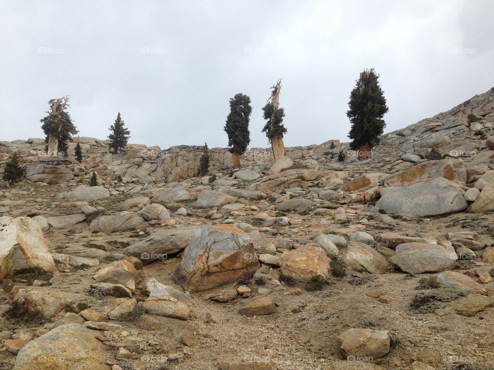 Alta Peak. Alta Peak, Sequoia National Park, hiking, elevation  altitude, nature, Rocky Mountain