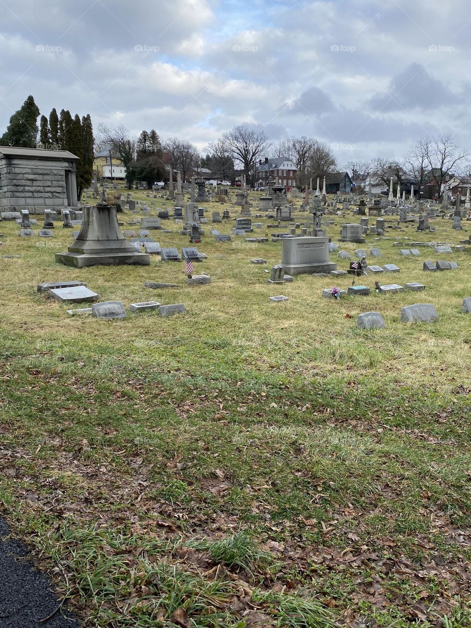 Great day for a walk