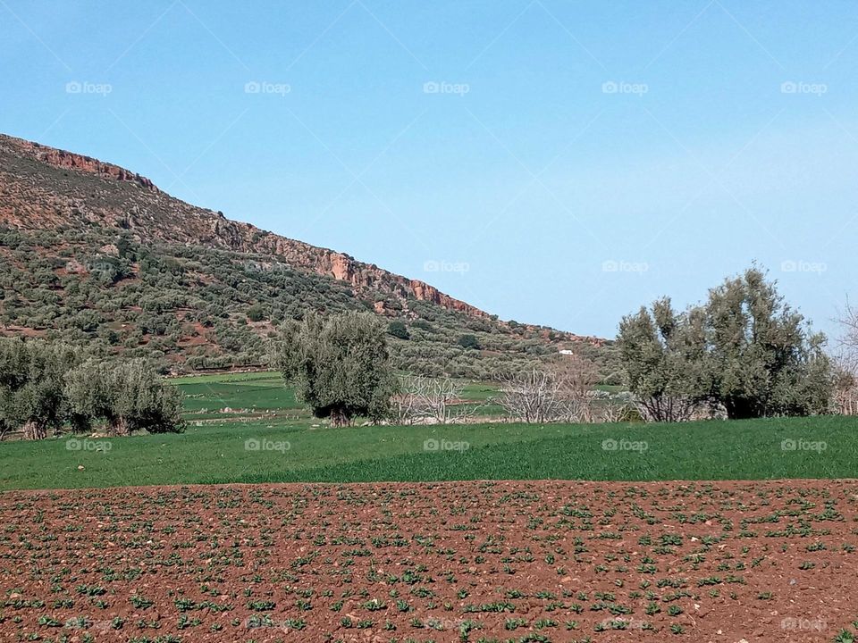 Agricultural lands