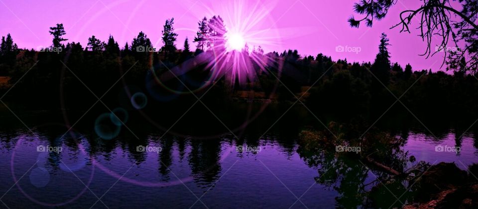 Purple Sunrise