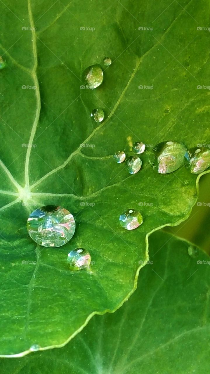 Waterdrops