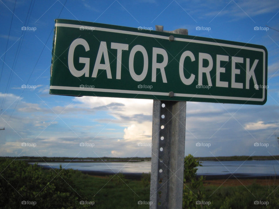 sign road alligator creek by dslmac2