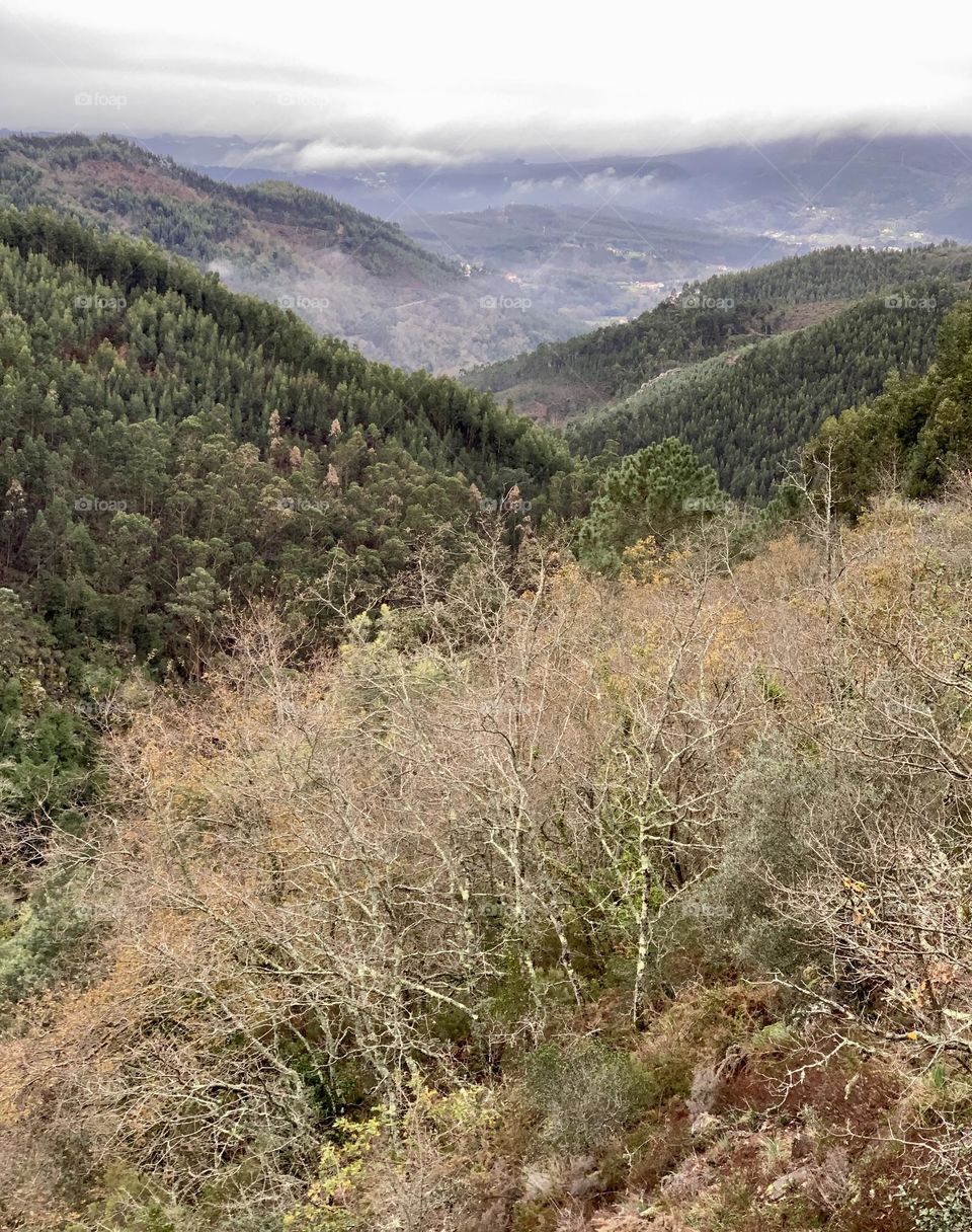 A view across misty, tree covered hills near Espinhal in Portugal 