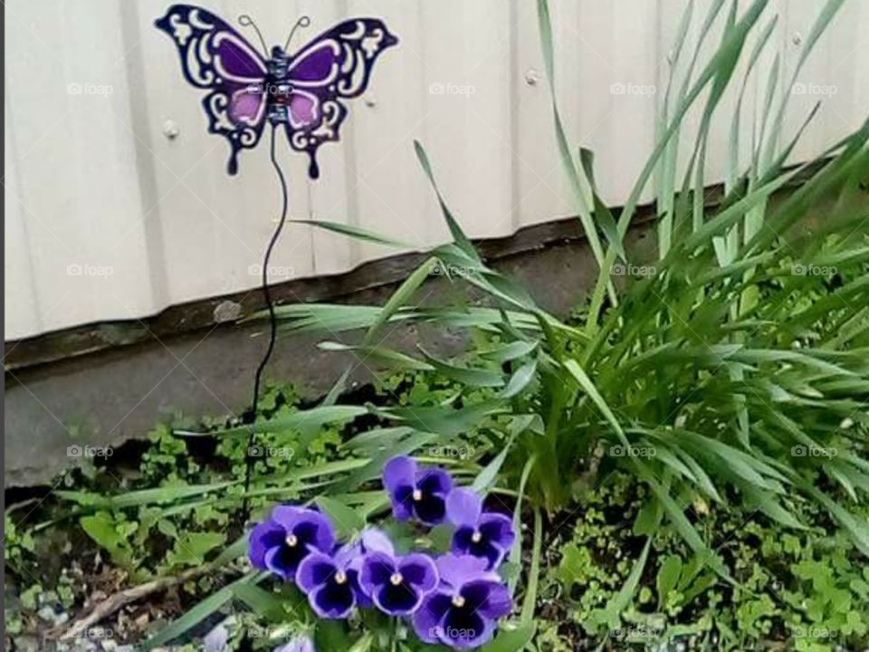 spring purple