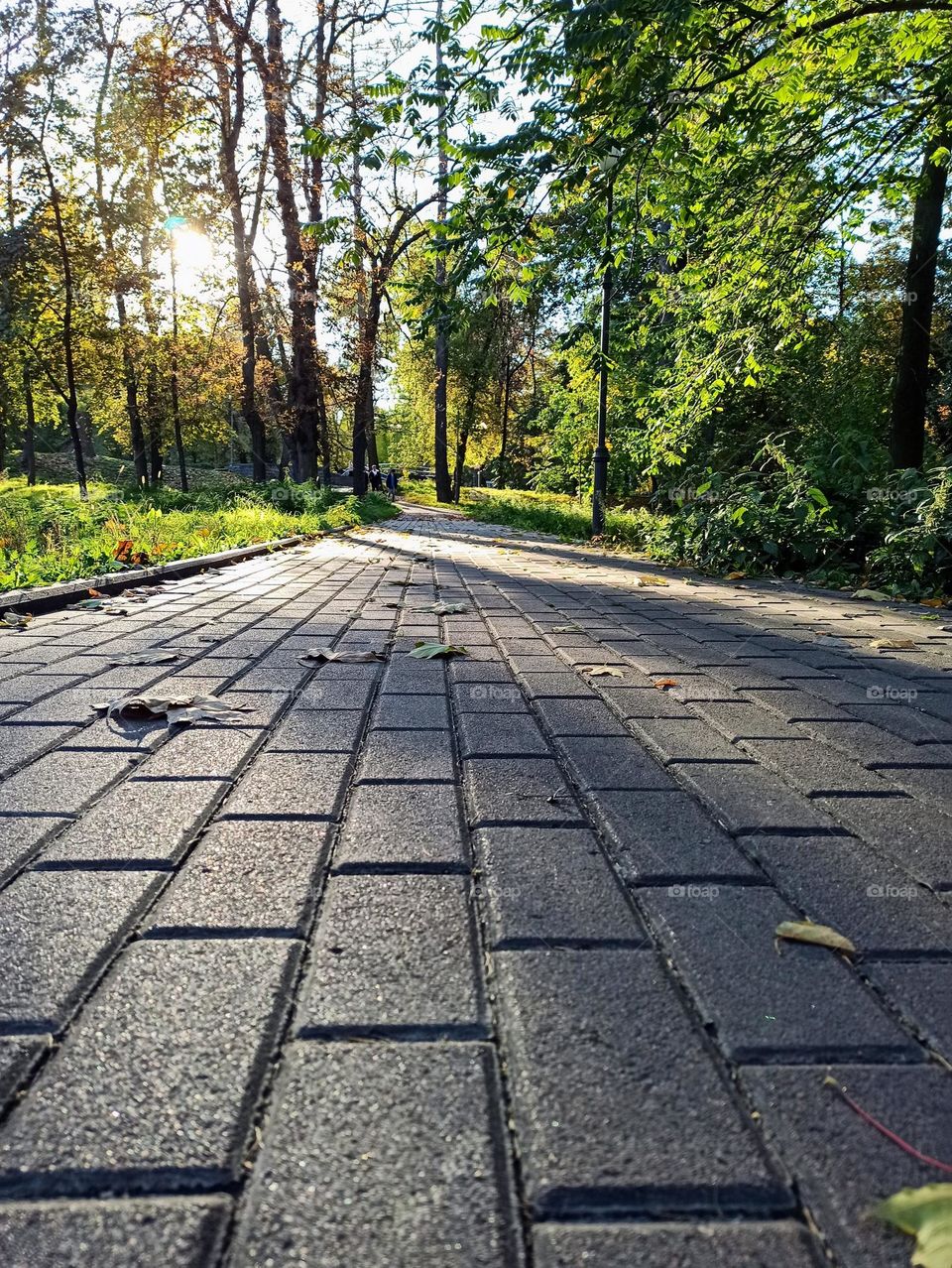 Vacation series: trips road