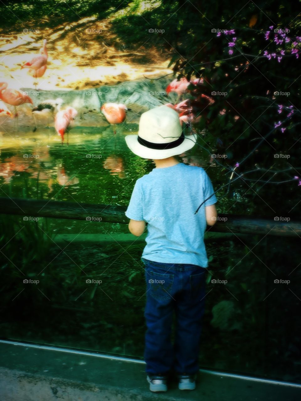Boy at the zoo