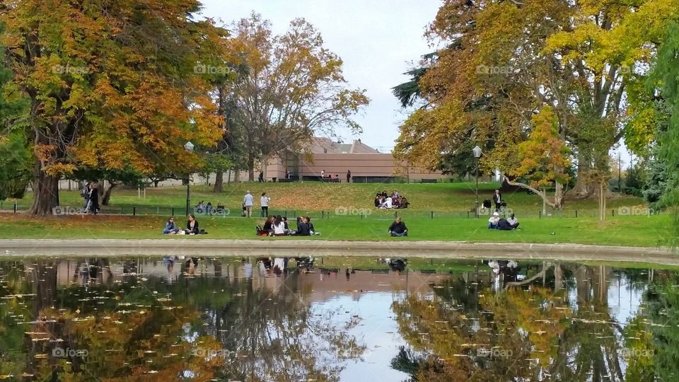 People relaxing near a pond