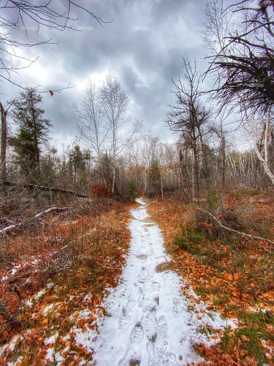 Hiking trail 