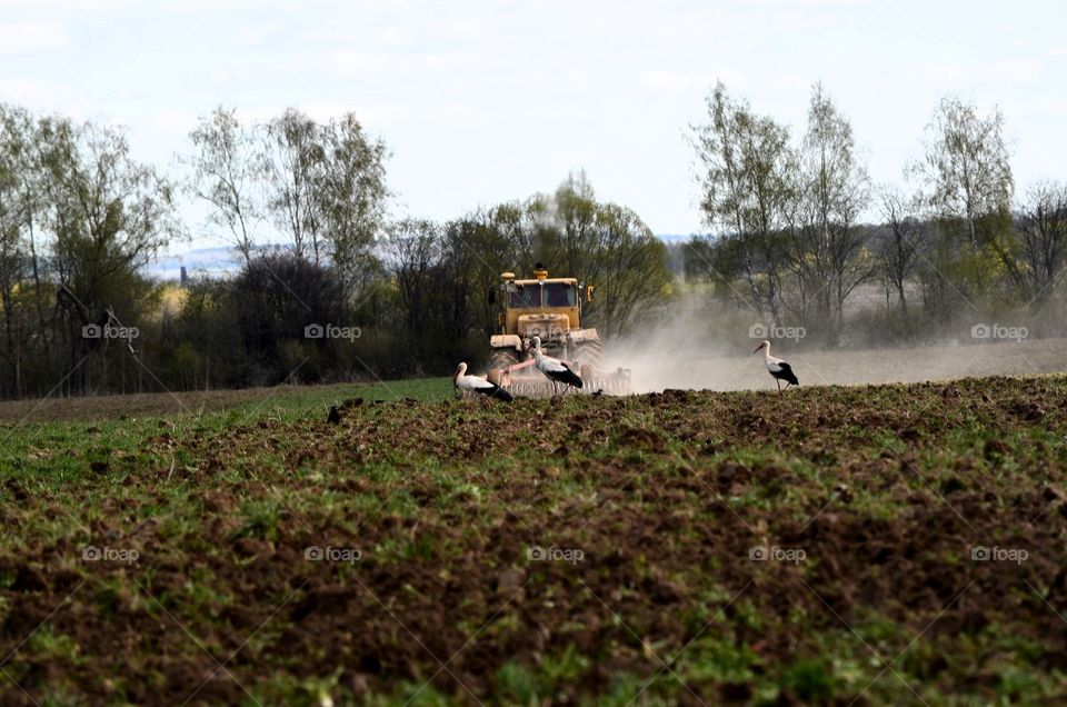 Agreecultural machines. Agreecultural equipment