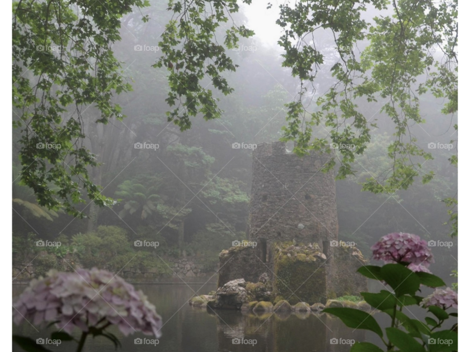 Красивое место в пасмурную погоду