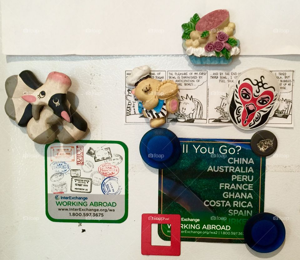 Fridge magnets 