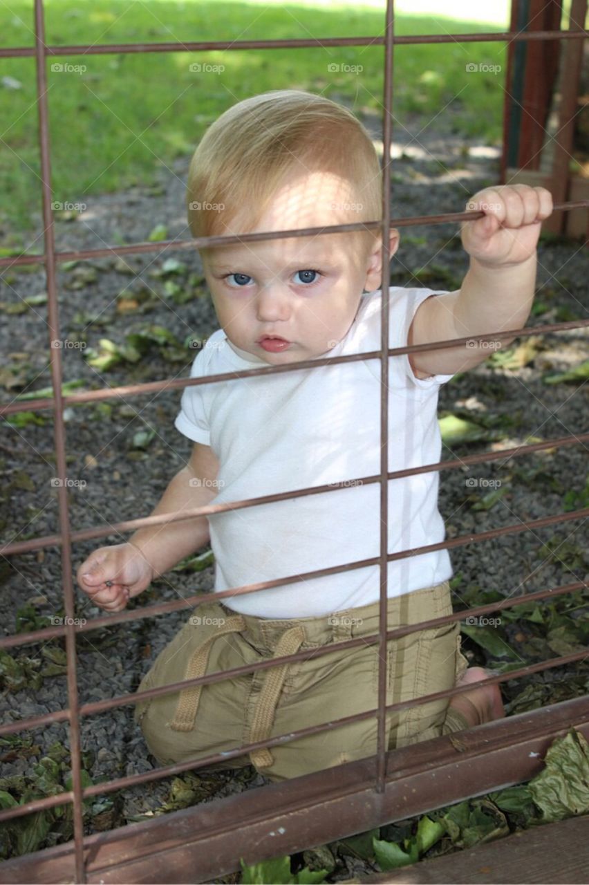 Close-up of a boy holding metal fence