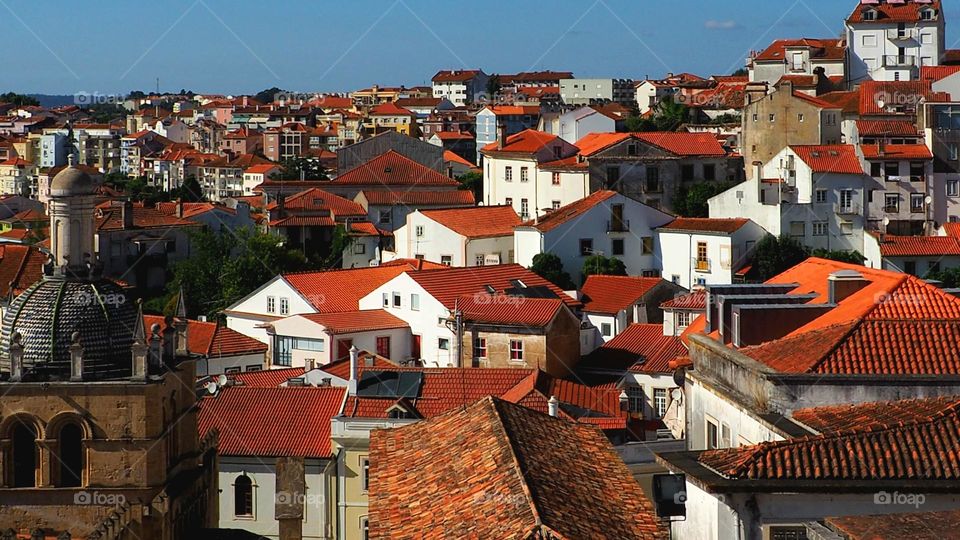 Coimbra's roofs