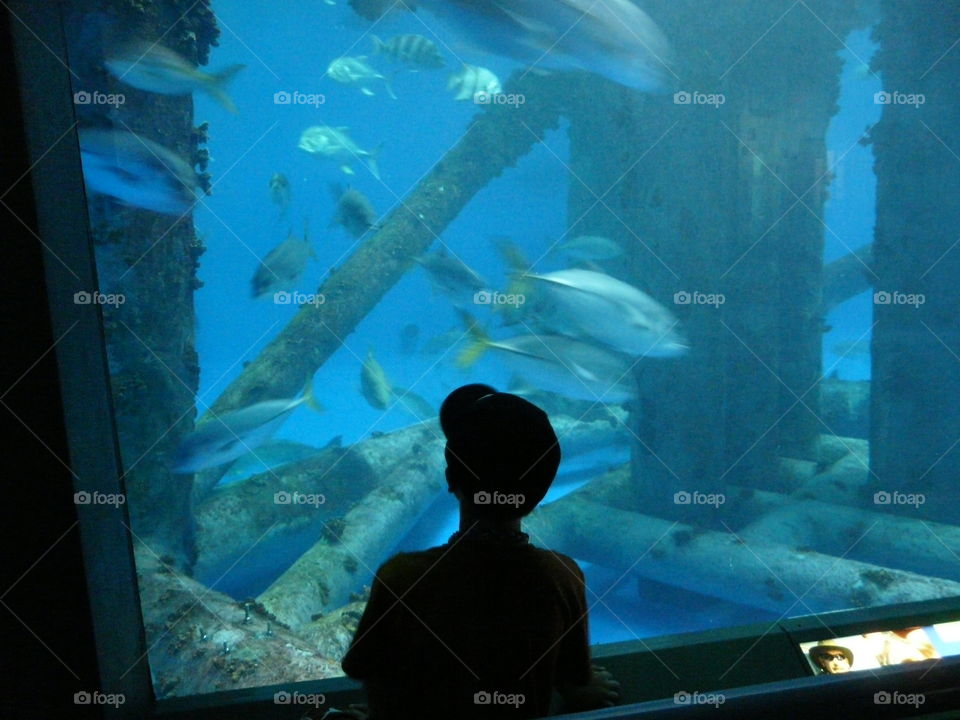 Boy at indoor aquarium in Corpus Christi, Texas. Boy at indoor aquarium in Corpus Christi, Texas