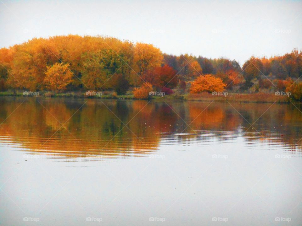 autumn lake