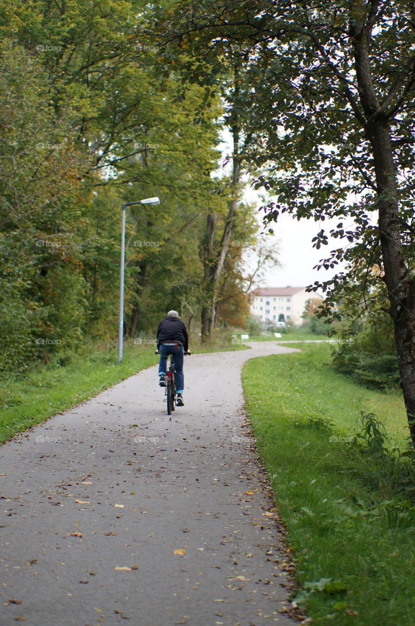 italy bike trees leaves by lexlebeur