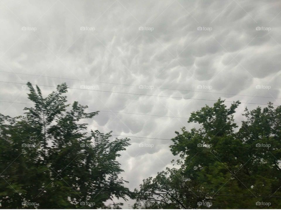 sky clouds storm trees