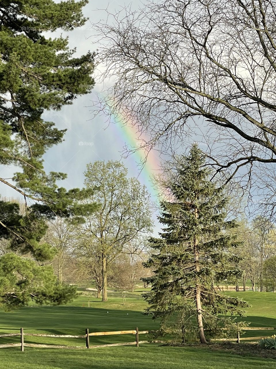 Daring to find magic