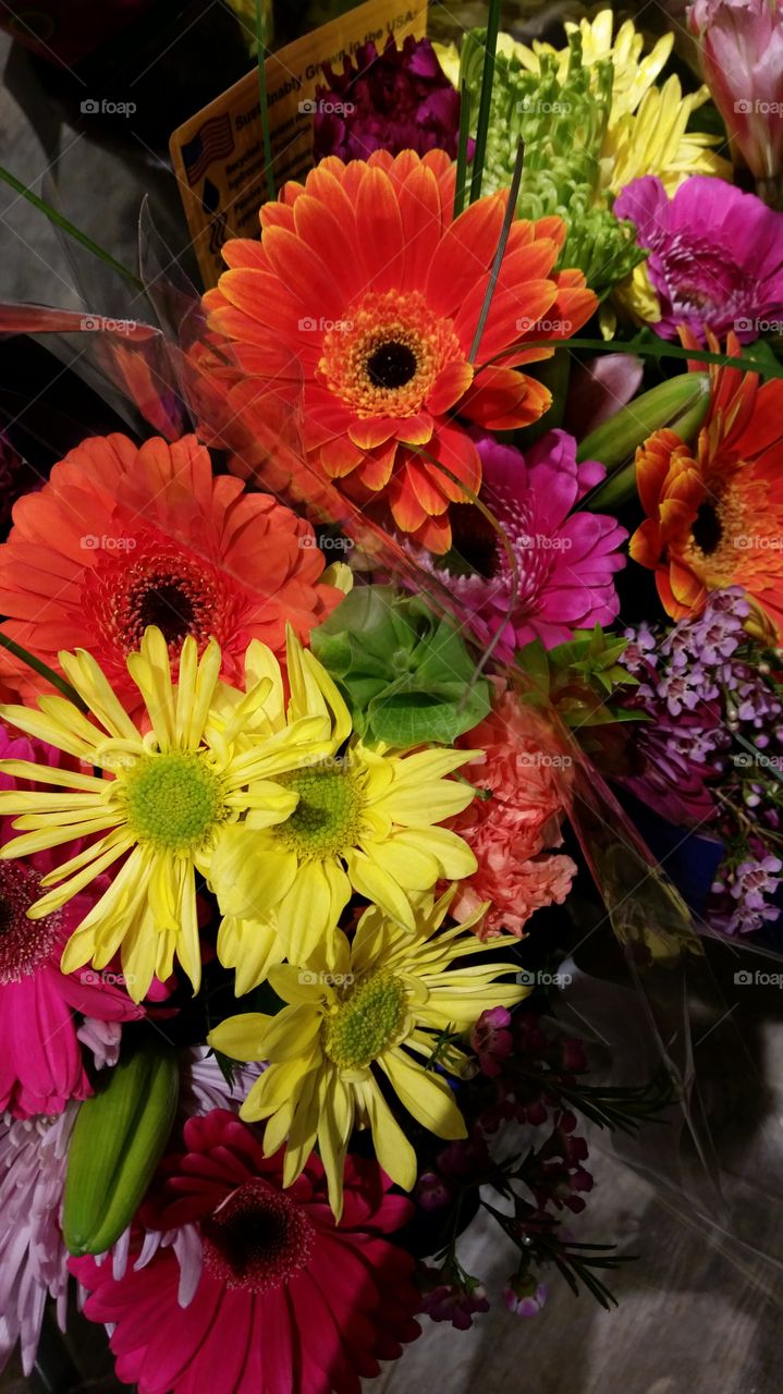 Fresh Cut Flowers. Daisy Bouquet 