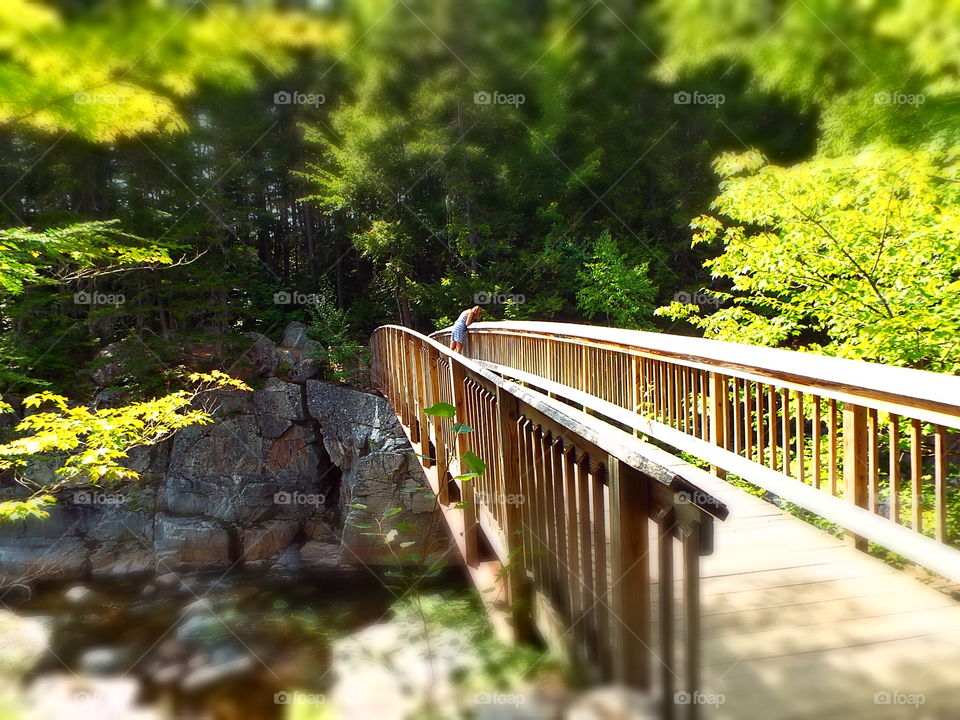 Woman on wooden bridge looking over railing at river below