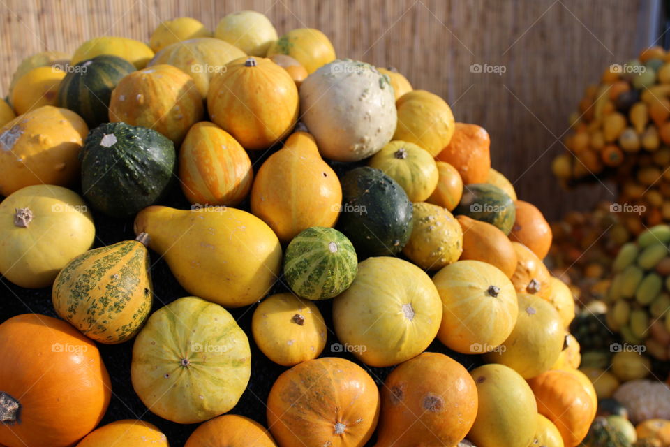 pumpkins arranged in shapes