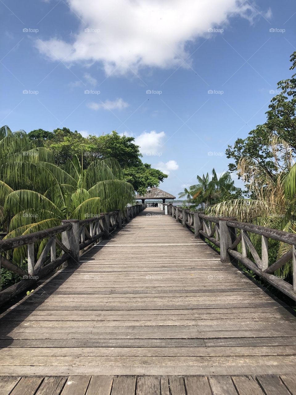 Tropical view of a wood pathway over the river