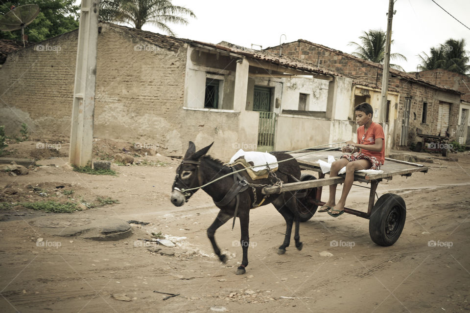 Childen work for surviv