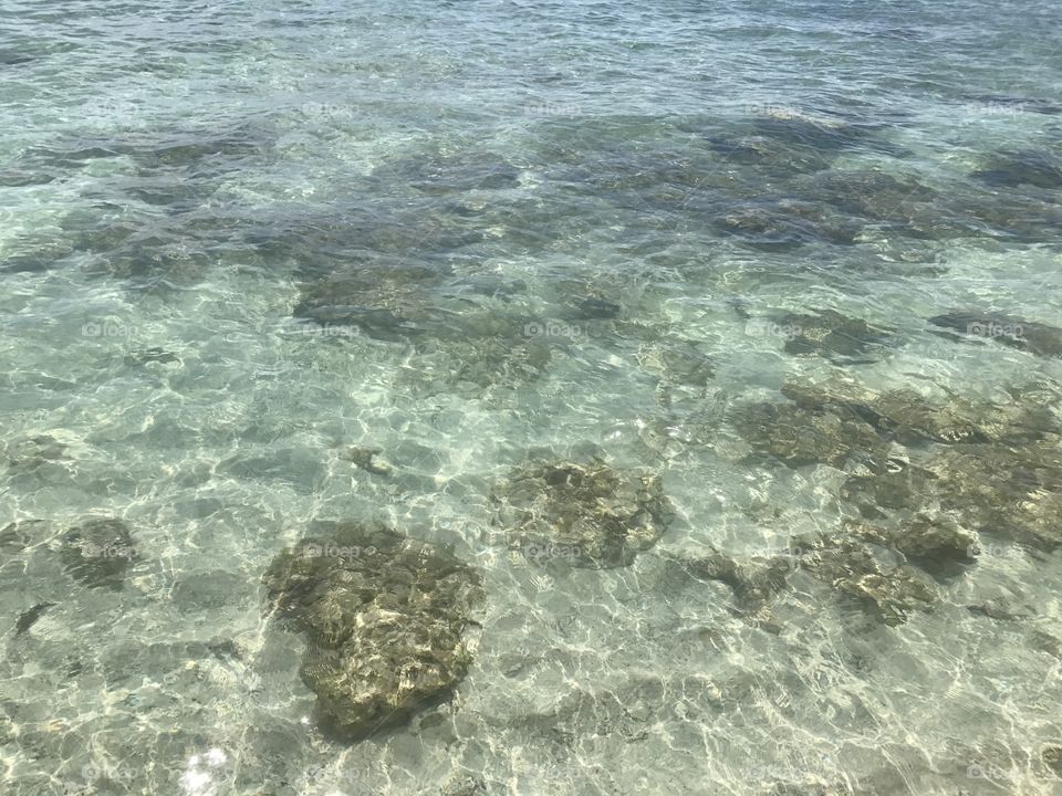 Clear ocean view of rocks and coral